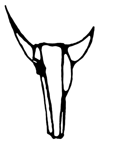 cow skull