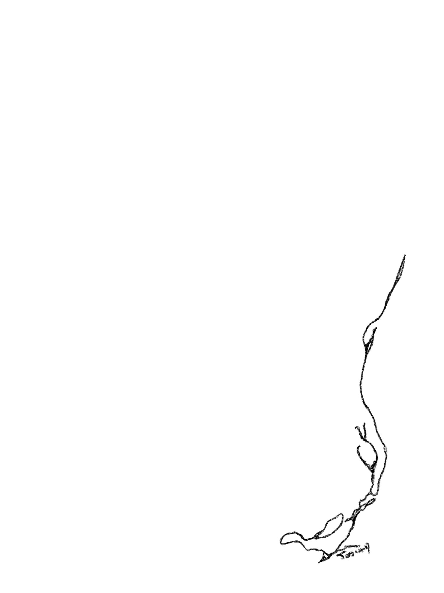 prompt 20